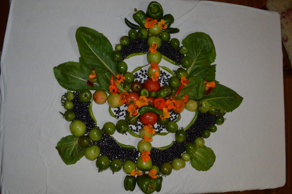 Vegetables arranged into a Mandala